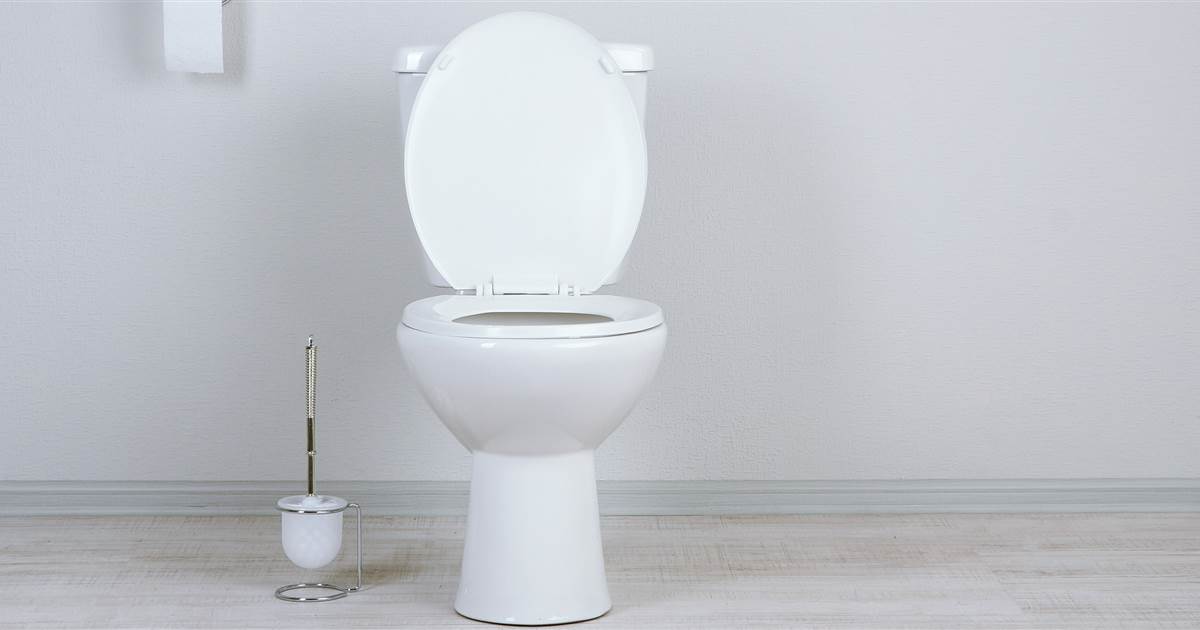 How to unclog a toilet or sink at someone else's house